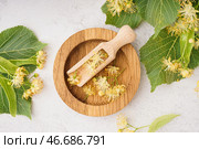 Композиция с деревянной тарелкой, черпаком, ароматическими цветами и листьями липы на светлом фоне. Стоковое фото, фотограф Pixel_shot / Фотобанк Лори