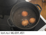 Куриные яйца варятся в кастрюле, крупным планом. Стоковое фото, фотограф Pixel_shot / Фотобанк Лори