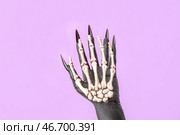 Скелеты и ведьминские руки на фиолетовом фоне. Празднование Хэллоуина. Стоковое фото, фотограф Pixel_shot / Фотобанк Лори