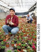 Young woman worker sitting down holding a pot of waller's balsamine in greenhouse. Стоковое фото, фотограф Яков Филимонов / Фотобанк Лори
