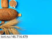 Булка свежего хлеба с булочкой, мисками, колосьями пшеницы и зернами на синем фоне. Стоковое фото, фотограф Pixel_shot / Фотобанк Лори