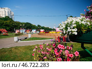 Хабаровск. Летний вид на городские пруды, украшенные клумбами (2018 год). Стоковое фото, фотограф Валерия Рожкова / Фотобанк Лори