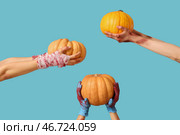 Руки зомби с спелыми тыквами на цветном фоне. Празднование Хэллоуина. Стоковое фото, фотограф Pixel_shot / Фотобанк Лори