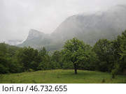 Вид на лес и гору Сююрю-Кая в тумане. Крым (2024 год). Стоковое фото, фотограф Яна Королёва / Фотобанк Лори
