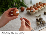 Раскрашивание пасхальных куриных яиц, подготовка к празднованию Светлой Пасхи. Стоковое фото, фотограф Оксана Шведкова / Фотобанк Лори