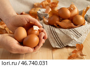 Яйца куриные желтые и сухая луковая шелуха для окрашивания яиц, концепция Светлой Пасхи. Стоковое фото, фотограф Оксана Шведкова / Фотобанк Лори