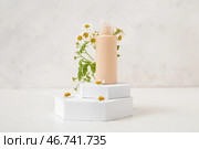 Композиция с бутылкой косметического продукта, гипсовыми подиумами и ромашками на светлом фоне. Стоковое фото, фотограф Pixel_shot / Фотобанк Лори