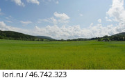 Forest, green field, blue sky with clouds and road timelapse. Стоковое фото, фотограф David Kashakhi / Фотобанк Лори