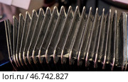 Old musical instrument Russian bayan - button accordion close-up. Стоковое фото, фотограф David Kashakhi / Фотобанк Лори