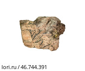 Illite mineral in nepheline stone isolated on white. Стоковое фото, фотограф Константин Григорьев / Фотобанк Лори
