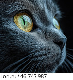 A close-up of a cat's face, focusing on its eye with a hypnotic yellow-green hue. The iris is detailed, with pronounced texture and reflection of the surrounding world. The contrast between the glowing eye and the dark fur makes the image mesmerizing. The texture of the fur, whiskers and soft outlines of the nose are clearly visible. The background is darkened, which emphasizes the expressiveness of the gaze and creates an atmosphere of mystery and mysticism.The image conveys the attentiveness, hunting instinct and grace of a cat. Стоковое AI-изображение, AI-художник Анна Кривицкая / Фотобанк Лори