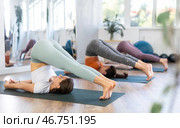 Sporty fit woman practicing hatha yoga doing inverted asana Halasana or Plough pose for stretching spine and back muscles in yoga studio. Стоковое фото, фотограф Яков Филимонов / Фотобанк Лори