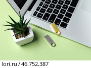 USB-накопители, современный ноутбук и комнатное растение на зеленом столе. Стоковое фото, фотограф Pixel_shot / Фотобанк Лори
