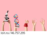 Женские руки, держащие петри-плашки с микроскопом, моделью ДНК и заполненной колбой на розовом фоне. Концепция урока химии. Стоковое фото, фотограф Pixel_shot / Фотобанк Лори
