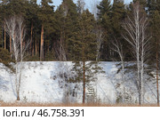 Зимняя опушка. Горка и лес.. Стоковое фото, фотограф Анатолий Матвейчук / Фотобанк Лори
