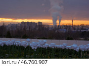 Парк Галицкого. Стоковое фото, фотограф Елена Букия / Фотобанк Лори