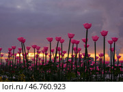 Парк Галицкого. Стоковое фото, фотограф Елена Букия / Фотобанк Лори