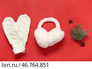 Теплые варежки, ушные мuffs и ветка пихты на красном фоне. Стоковое фото, фотограф Pixel_shot / Фотобанк Лори