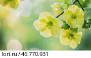 Delicate yellow flowers covered with dew drops on a blurred natural background. AI-generated item. Стоковое AI-видео, аниматор Алексей Кузнецов / Фотобанк Лори