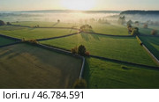 Field of grass with a few trees in the background. Стоковое AI-видео, аниматор Sergey Grishin / Фотобанк Лори
