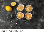 Охлаждающая решетка с булочками с маком на темном фоне. Стоковое фото, фотограф Pixel_shot / Фотобанк Лори