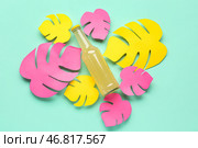 Композиция с бутылкой свежего содовой напитка и бумажными листьями на бирюзовом фоне. Стоковое фото, фотограф Pixel_shot / Фотобанк Лори