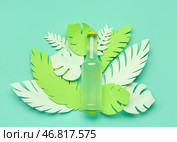 Композиция с бутылкой свежего содовой напитка и бумажными листьями на бирюзовом фоне. Стоковое фото, фотограф Pixel_shot / Фотобанк Лори