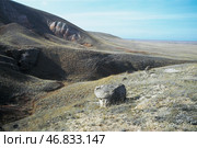Песчанный камень (песчаник) горы Богдо. Богдинско-Баскунчакский заповедник. Степь, Астраханская обл., Ахтубинский район. Редакционное фото, фотограф Павел Просянов / Фотобанк Лори
