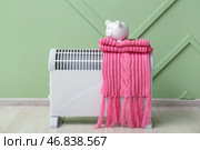 Копилка с деньгами и теплый шарф на электрическом конвекторном обогревателе возле зеленой стены дома. Концепция экономии на отоплении. Стоковое фото, фотограф Pixel_shot / Фотобанк Лори