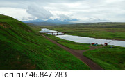 The bridge with the river and green valley as a backdrop. Clip. Aerial view of summer green valley and long narrow river. Стоковое фото, фотограф Данил Руденко / Фотобанк Лори