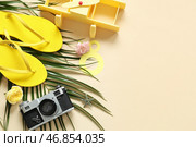 Композиция с шлепками, фотокамерой и пальмовым листом на цветном фоне. Международный женский день. Стоковое фото, фотограф Pixel_shot / Фотобанк Лори