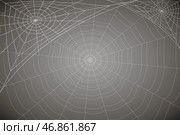 Сoncentric white web on a gray background. Стоковая иллюстрация, иллюстратор Vladislav_v / Фотобанк Лори