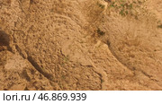 Top view of brown ground surface, close up natural background. Стоковое фото, фотограф David Kashakhi / Фотобанк Лори