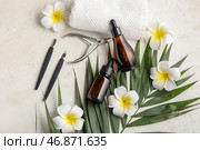 Композиция с бутылочками масла для кутикулы, маникюрными инструментами, пальмовым листом и цветами на светлом фоне. Стоковое фото, фотограф Pixel_shot / Фотобанк Лори