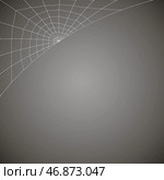 Concentric white web on a gray background. Стоковая иллюстрация, иллюстратор Vladislav_v / Фотобанк Лори