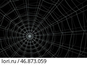 Concentric white web on a gray background. Стоковая иллюстрация, иллюстратор Vladislav_v / Фотобанк Лори