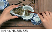 Black, green, puerh, oolong, tieguanyin, sencha, tea. Стоковое фото, фотограф David Kashakhi / Фотобанк Лори