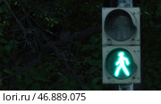 Traffic light with green light and safe to move. Стоковое фото, фотограф David Kashakhi / Фотобанк Лори