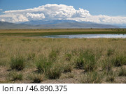 Altai landscape in the Chuya steppe with small lake and mountains. Стоковое фото, фотограф Сергей Пристяжнюк (Serg Zastavkin) / Фотобанк Лори