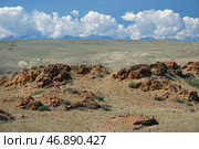 Rocky semi-desert with bushes of Caragana pygmaea in the Kosh-Agach Valley in Altai. Стоковое фото, фотограф Сергей Пристяжнюк (Serg Zastavkin) / Фотобанк Лори