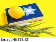 Четыре вида (лулав, хадас, арава, этрог) как символы праздника Суккот и Тора на желтом фоне. Стоковое фото, фотограф Pixel_shot / Фотобанк Лори