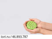 Женские руки с массажной щеткой с силиконовой головкой на белом фоне. Стоковое фото, фотограф Pixel_shot / Фотобанк Лори