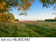 Поле у реки Тезы. Стоковое фото, фотограф Ольга Аблекова / Фотобанк Лори