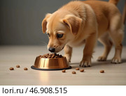 A playful puppy with golden fur carefully approaches a bowl filled with dry food, its nose twitching in excitement AI. Стоковое AI-изображение, AI-художник Юлия Петровская / Фотобанк Лори