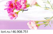 A bunch of flowers and buds of pink geranium on a stem on a pink background. Стоковая иллюстрация, иллюстратор David Kashakhi / Фотобанк Лори