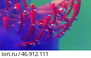 Fantasy blossom, nature magic, pink blooming flower. Стоковая иллюстрация, иллюстратор David Kashakhi / Фотобанк Лори