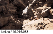 Mountains with rocky landscapes and valleys. Стоковая иллюстрация, иллюстратор David Kashakhi / Фотобанк Лори