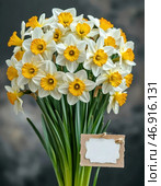A bouquet of spring daffodils. The last Friday of August is celebrated annually as World Daffodil Day. The daffodil symbolizes beauty, self-love, and spring. Стоковое AI-изображение, AI-художник Сергей Елизарьев / Фотобанк Лори