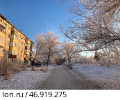 Зимний пейзаж: Деревья в инее в Орске. Стоковое фото, фотограф Николай Рыбин / Фотобанк Лори