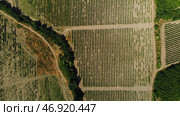 Aerial top view from flying drone of a land with sown green fields in countryside in spring day. Стоковое фото, фотограф David Kashakhi / Фотобанк Лори